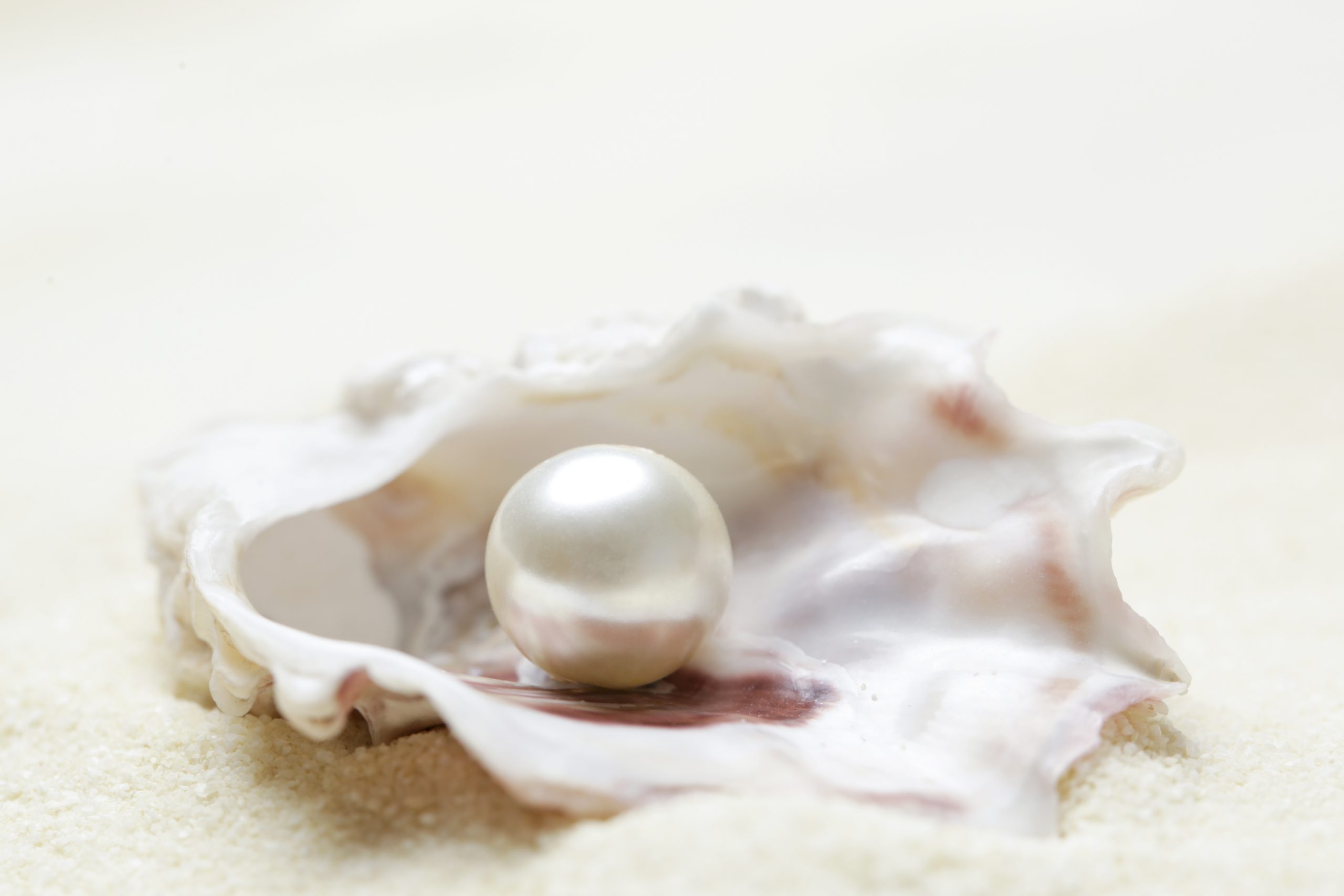 Pearl inside shell
